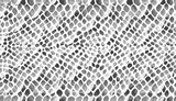 The texture of the snake skin is gray on a white background in watercolor