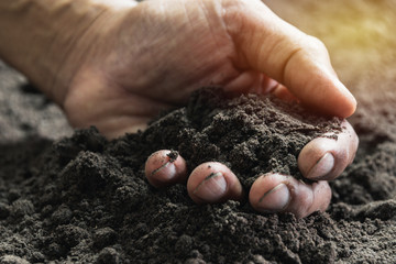 Closeup hand of person holding abundance soil for agriculture or planting peach concept.