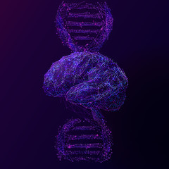 Aufkleber - Brain and DNA spiral low poly wireframe illustration in purple