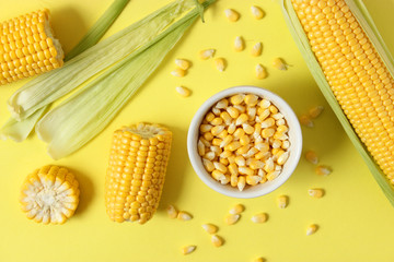 Wall Mural - Fresh corn on a colored background. Corn heads.