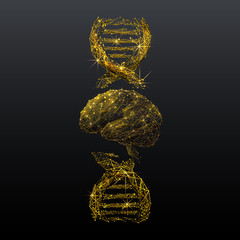 Aufkleber - Brain and DNA spiral gold low poly wireframe illustration