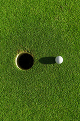 Wall Mural - golf ball on green grass with hole and sunlight