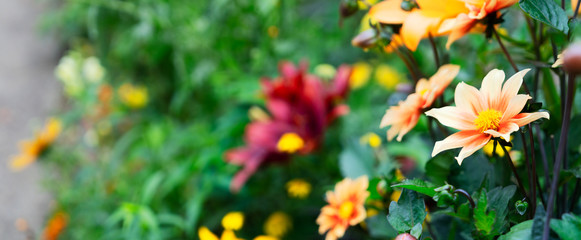 Sticker - Flowers in garden