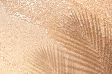 Selective focus of summer and holiday backgrounds concepts with shadow of coconut leaf on clean sand beach