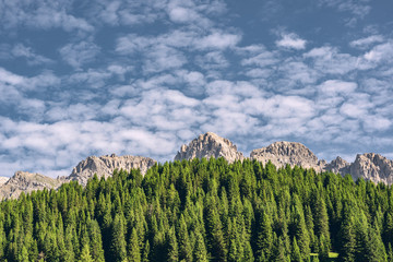 Wall Mural - Beautiful Alps with green forest near mountain