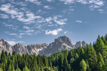 Wall Mural - Scenery Alps with green forest near mountain