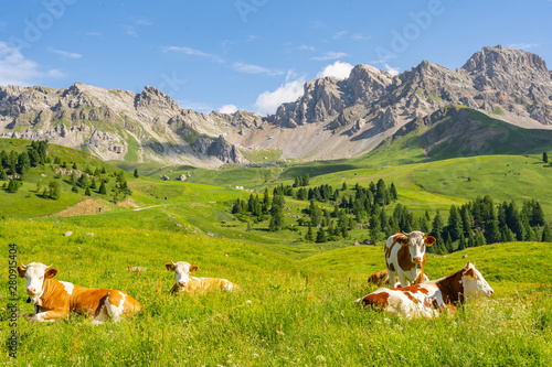 Naklejki krowa  krajobraz-alpy-z-krowa-na-zielonym-polu