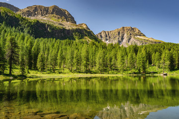 Wall Mural - Idyllic Alps with green forest, lake and mountain