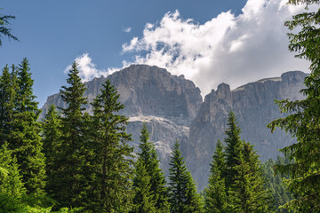 Wall Mural - Scenery Alps with high rocky mountain and green forest