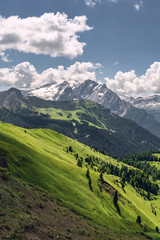 Wall Mural - Idyllic Alps with mountain hill under blue sky