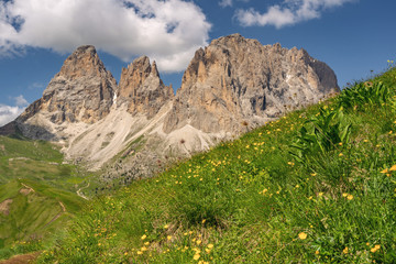 Wall Mural - Scenic Alps with green mountain hill under sky