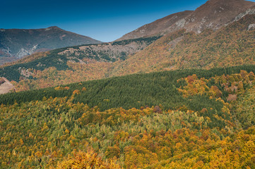 Autumn on the mountain. View of the valleys from the top. Yellow leaves on branches