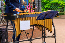 Street Musician Playing A Xylophone In City Park