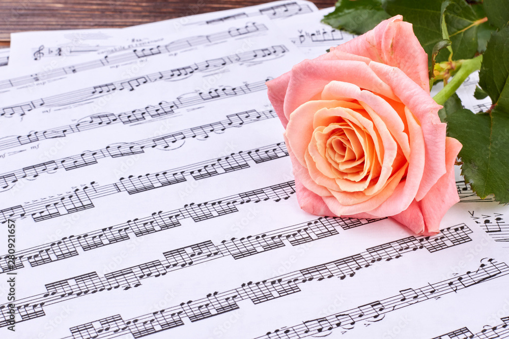 Music Notes With Roses Graphics Pink rose on musical notes sheets. Beautiful delicate flower and music ...