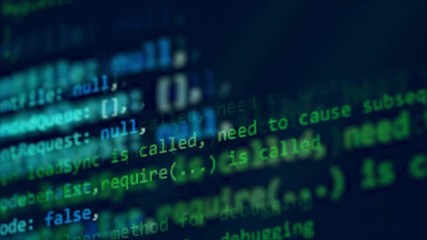 Wall Mural - digital code on a computer monitor.
