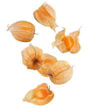 Falling Cape Gooseberry, Physalis Isolated On White Background, Clipping Path, Full Depth Of Field