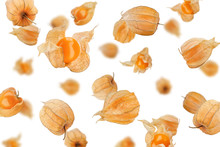 Falling Cape Gooseberry, Physalis Isolated On White Background, Selective Focus