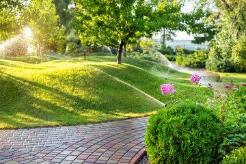 automatic garden watering system with different sprinklers installed under turf. landscape design wi