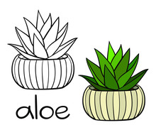 A Picture Of A House Plant In A Planter. Vector Outline Illustration Drawings Of Coloured Indoor Plant In A Flowerpot Isolated On A White Background. Aloe Plant With A Handwriting Caption