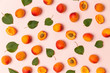 Apricots on a pink background, the flat lay image of ripe apricots and leaves 