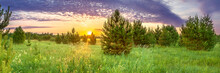 Panorama Spring Landscape With Forest And Meadow At Sunrise