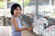 Leinwandbild Motiv Asian Little Chinese Girl Feeding Rabbits with Carrot