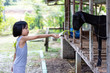 Leinwandbild Motiv Asian Little Chinese Girl Feeding goat