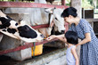 Leinwandbild Motiv Asian Little Chinese Girl and mother feeding a cow with Carrot