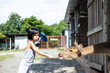 Leinwandbild Motiv Asian Little Chinese Girl Feeding deer with Carrot