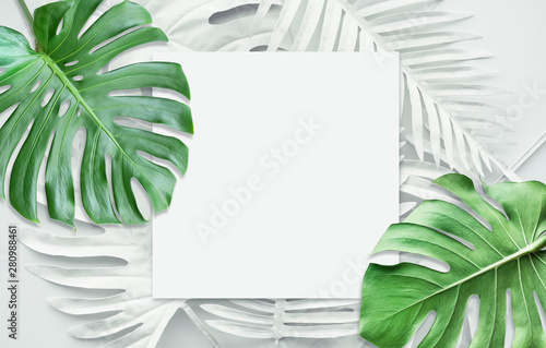 Fotografía Collection of tropical leaves,foliage plant in white color