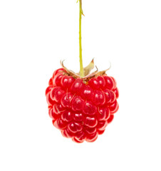 red ripe raspberries on white background