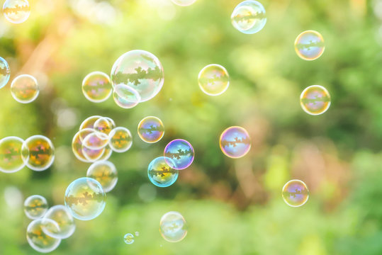 Wall Mural - soap bubbles on green nature background