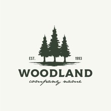 Rustic Retro Vintage Woodland, Evergreen, Pines, Spruce, Cedar Trees Logo Design