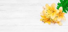 Yellow Lilies On A White Wooden Background. Beautiful Flowers. Romance. White Horizontal Boards. Natural Background. Blooming Lily Bells.