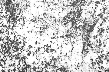 Wall Mural - Scratch old paint contrast black and white background