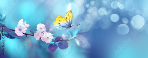 Fotomural Beautiful blue yellow butterfly in flight and branch of flowering apricot tree in spring at Sunrise on light blue and violet background macro