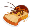 Cockroach on the bread