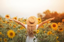 Beautiful Curly Young Woman In A Sunflower Field Holding A Wicker Hat. Portrait Of A Young Woman In The Sun. Summer.
