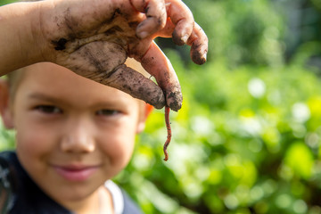 boy holds a red worm