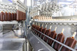 © Andrei - The conveyor automatic lines for the production of ice cream