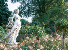 Statue In Beautiful Rose Garden