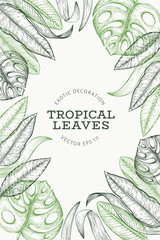 Wall Mural - Tropical plants banner design. Hand drawn tropical summer exotic leaves illustration. Jungle leaves, palm leaves engraved style. Vintage background design