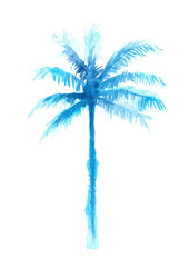 Wall Mural - hand drawn blue palm tree watercolor illustration, isolated nature on white background