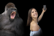 Attractive, Daring Young Girl Taking A Selfie With A Gorilla