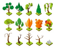 Polygonal Isometric Trees. Vector Low Poly Trees Without Foliage, 3D Summer And Autumn Forest Elements. Illustration Of Tree Polygonal Isolated