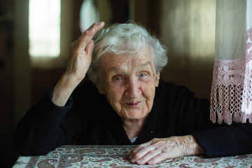 Wall Mural - Portrait of an old gray-haired woman at his home. Close-up.