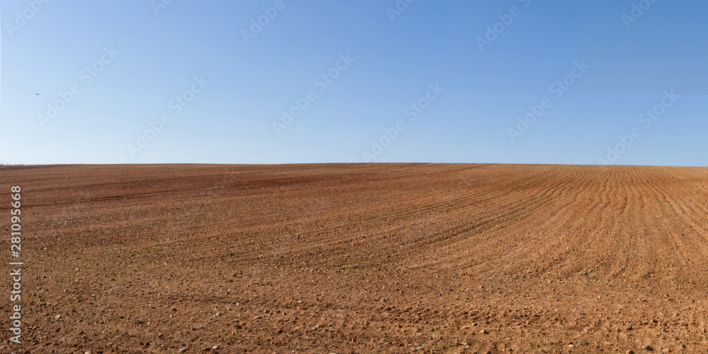Vista panorámica de loma de  terreno agricola  arado recientemente y preparados para el cultivo y cielo azul - obrazy, fototapety, plakaty 