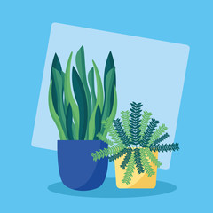 Sticker - decorative plants flat image design