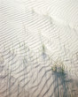 © Duet Postscriptum/Stocksy - Grass growing on sand