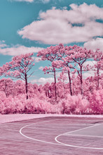 Surreal Basketball Court In Pink Infrared